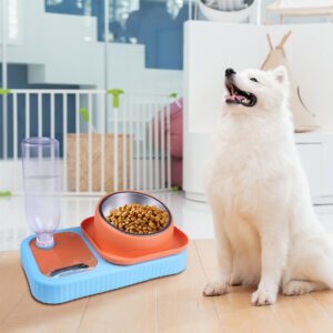 宠物猫狗碗